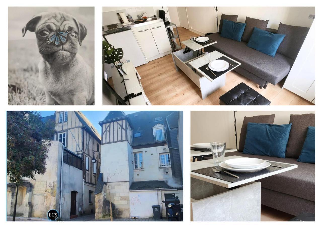 "Colbert Studio" Coeur De Ville - Cathedrale Saint Gatien 图尔 外观 照片